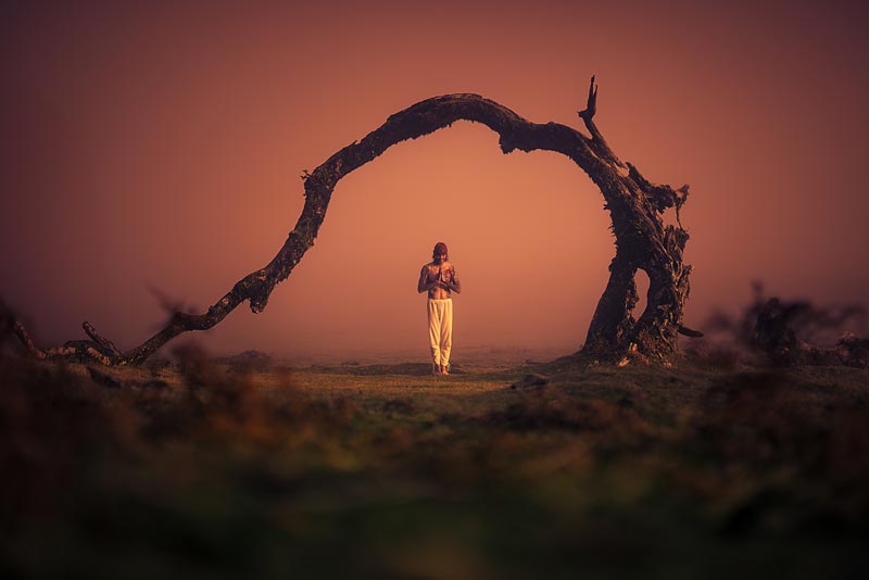 A man meditates standing below a bent tree