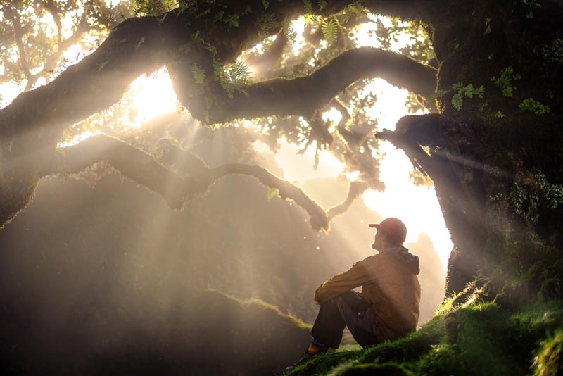 A man sits looking at sunlight shining through tree branches