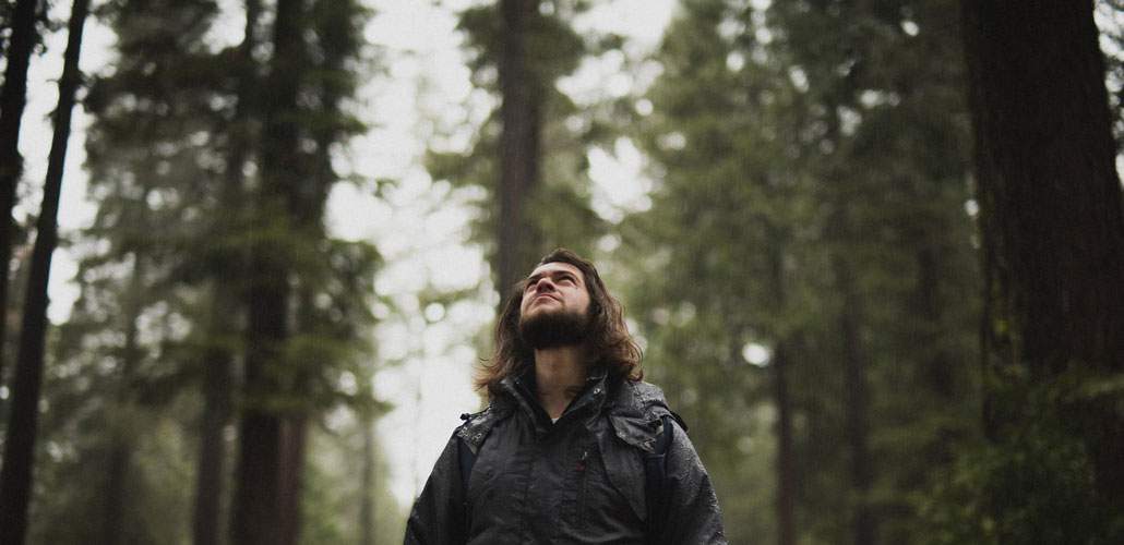 Man standing in forest